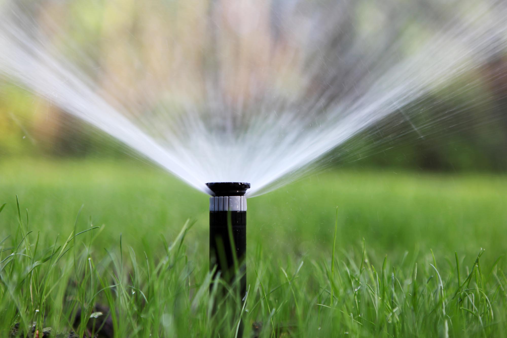 A black sprinkler sprays water evenly over vibrant green grass, against a softly blurred background of trees, creating a serene and refreshing scene.