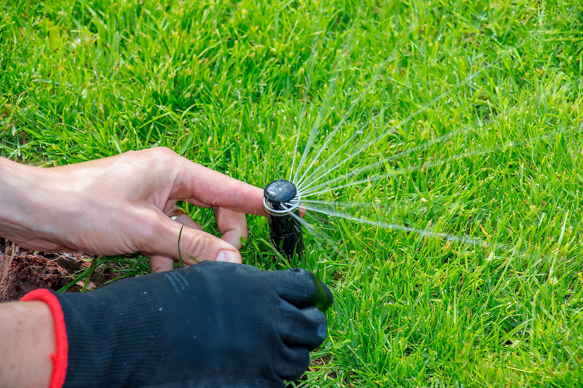 Hand adjusting a garden sprinkler on lush green grass. Water sprays in a fan shape, suggesting a focus on lawn care and maintenance.