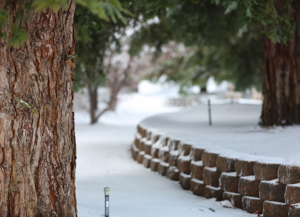 Snow-covered garden landscape featuring a stone retaining wall and pine tree trunk in winter.